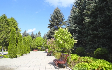 Территория санатория - санаторий Голубые ели