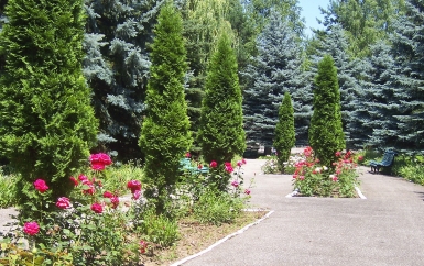 Территория санатория - санаторий Голубые ели