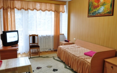 Стандартный номер - санаторий Голубые ели